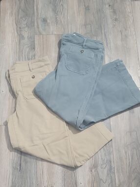 LOFT Women's Cropped Wide Leg Chinos in Dusty Green and Beige 2 Pair! Size 8/8P